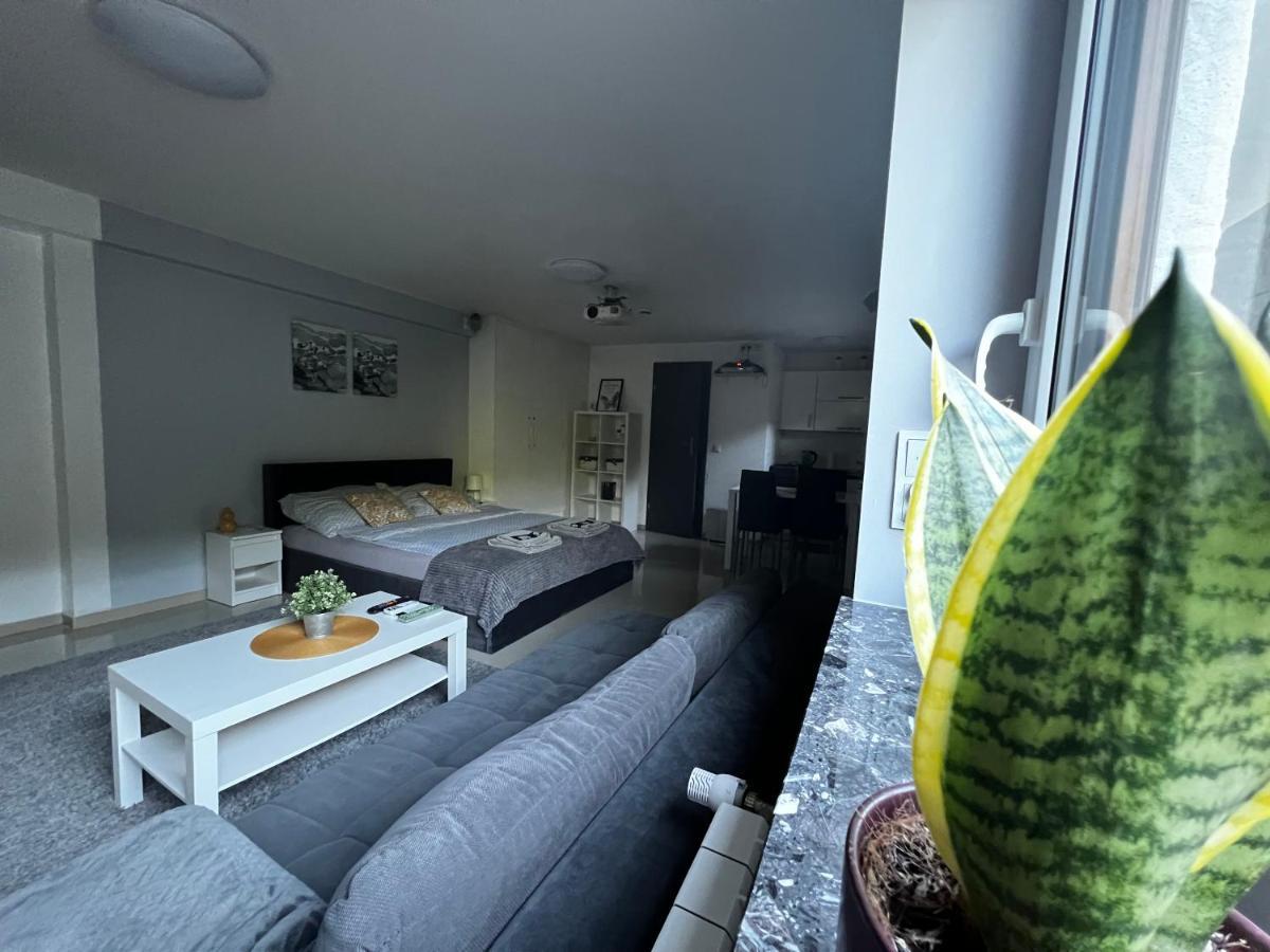 Pietrzykowice  Apartament Play מראה חיצוני תמונה